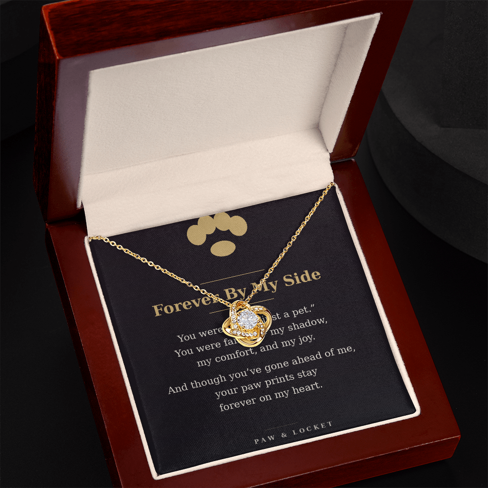 Forever By My Side — Pet Memorial Love Knot Necklace